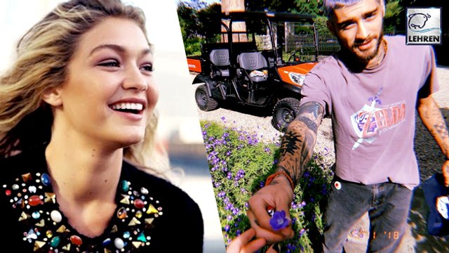 Zayn Malik Flaunts His Purple Hair While Picking Flowers For GF Gigi Hadid