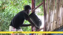 Pointe Noire 'Nsangu Ndji' festival: Behind the scenes