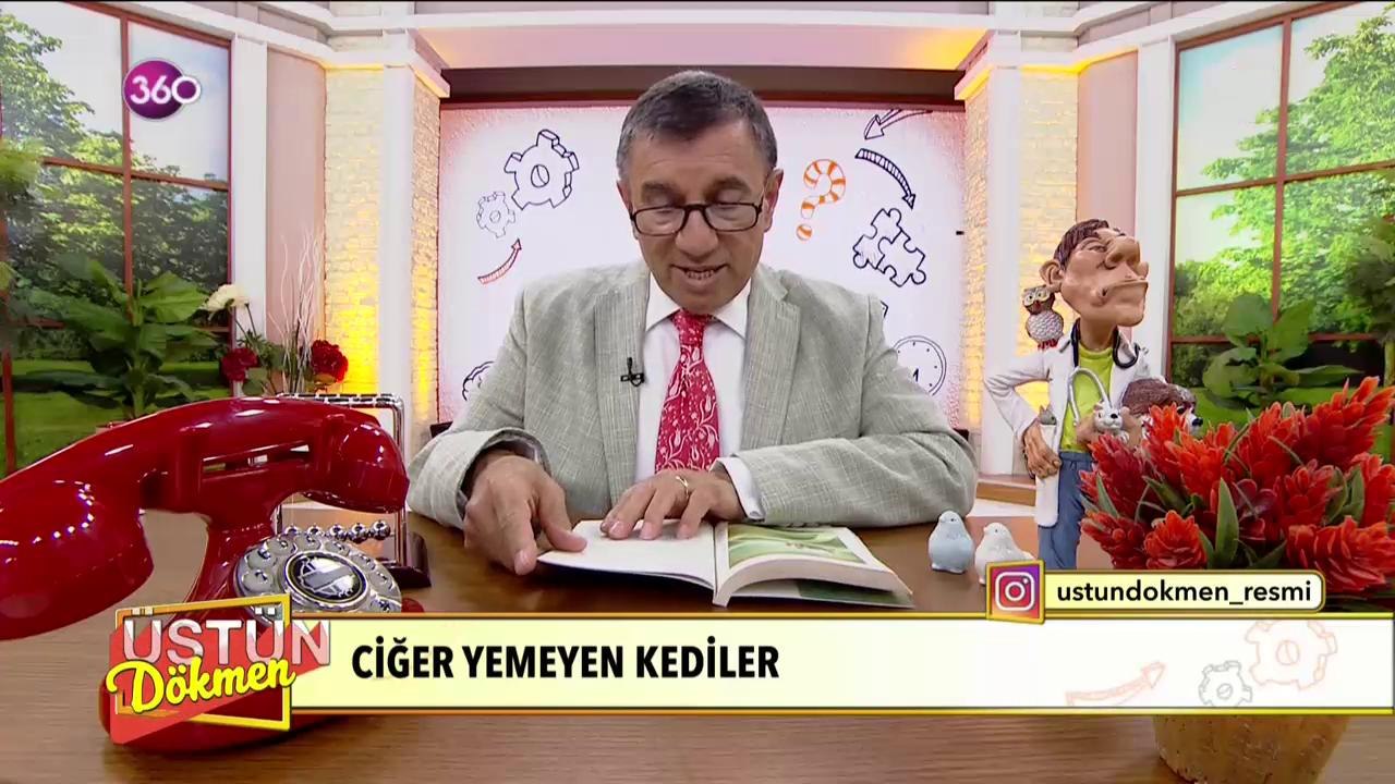Ciğer Yemeyen Kediler