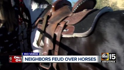Neighbors in Rio Verde feud over horses