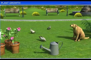 (1)CBSE Class 11 Biology, Plant Growth and Development – 1, Plant Growth