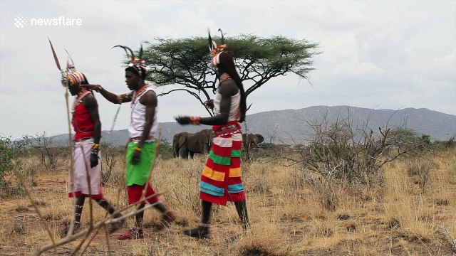 Elephant mothers lead adorable babies to drink at watering hole in Kenya
