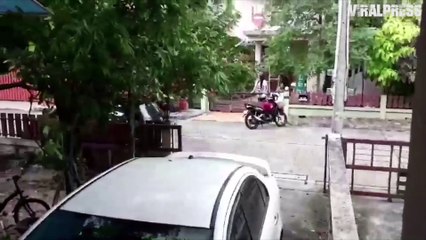 Monitor Lizard Caught Outside Home