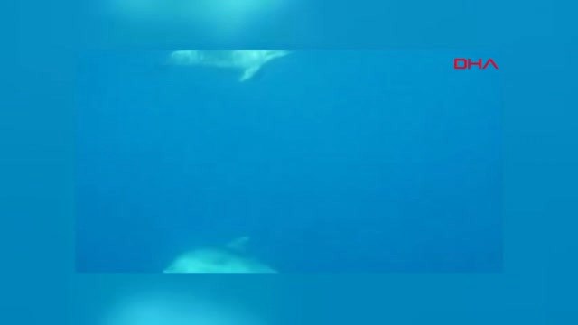 Hatay 20 Metre Derinliğe Yunus Heykelleri Koydular