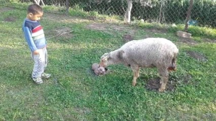 4 Buçuk Yaşındaki Çocuk Oyun Oynadığı Sırada Sulama Kanalına Düştü