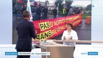 Huile de palme : le rendez-vous entre les agriculteurs et le ministre déterminant