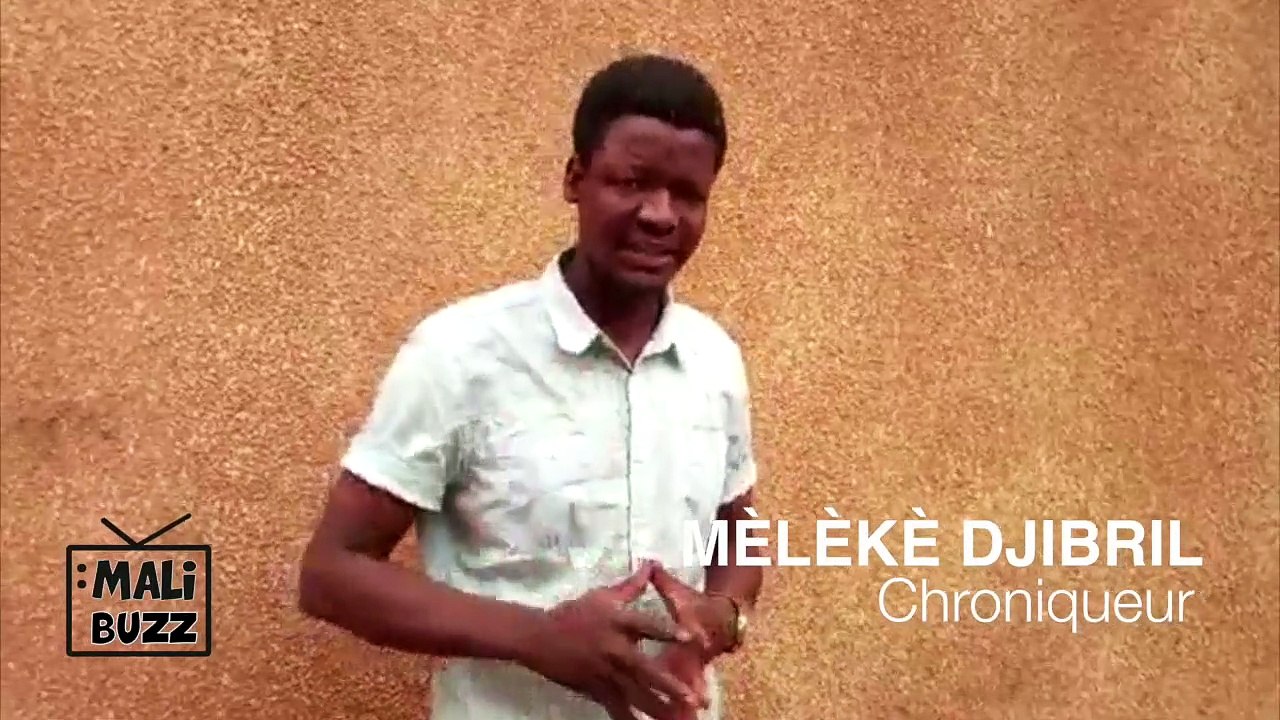 MELEKE DJIBRIL - de la liberté selon l´esprit des lois au terrorisme politique de l´opposition #malienne