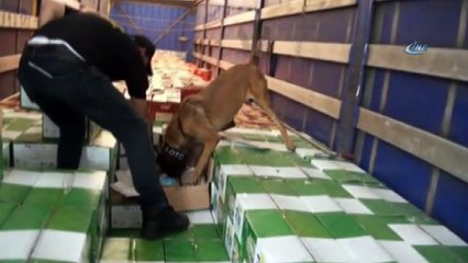 İstanbul’da yılın ilk 5 ayında 6 tona yakın uyuşturucu ele geçirildi