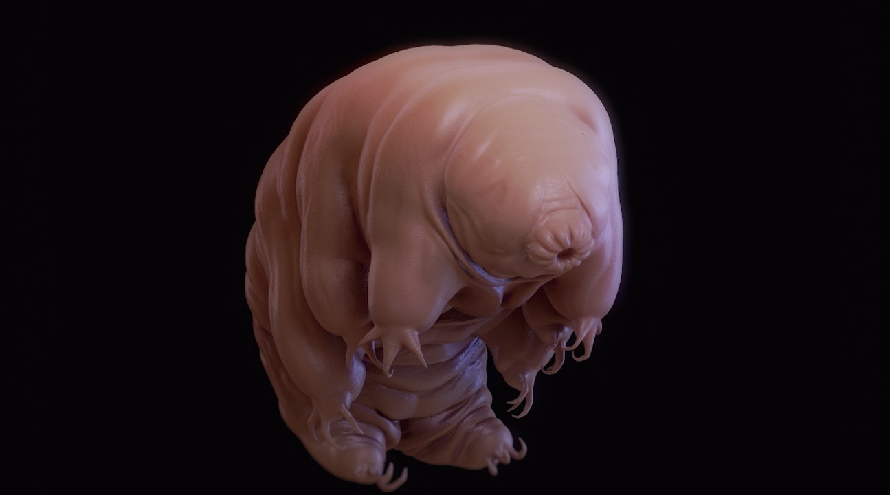 Le tardigrade est l'animal le plus indestructible au monde