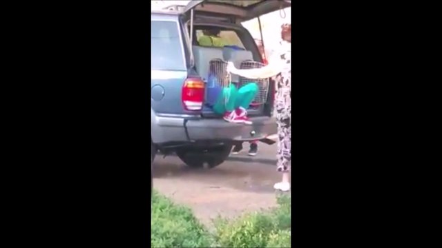 Cette grand-mère relâche ses petits-enfants enfermés dans des cages à chiens... Révoltant