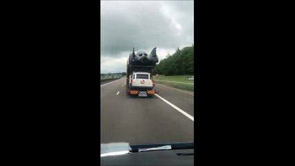 Download Video: Il coirse un camion qui transporte des voitures incroyables sur l'autoroute du Sud