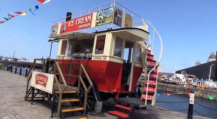 The Real Dairy Ice Cream Company