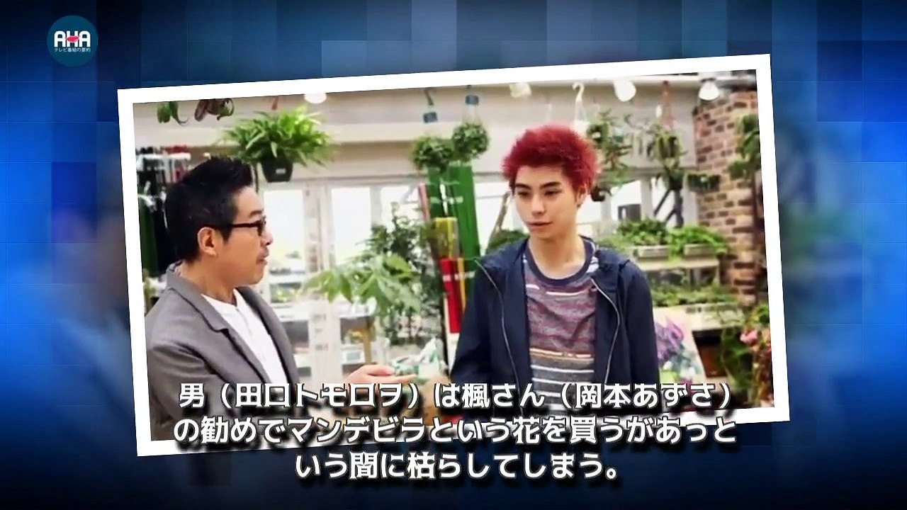 植物男子 ベランダー 9話