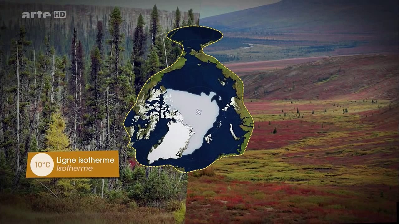 " die arktis rückt ins zentrum." - mit offenen karten | der wolpertinger.