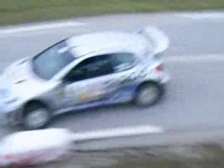 telethon 2007 a montagnole(73) 206 wrc/p.chieusse