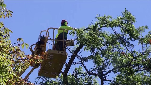 Se debaten los límites jurídicos a la ‘remunicipalización’ de los servicios públicos