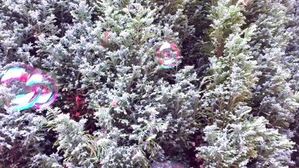 Astuces & expériences pour l'hiver que vous devez tester┃Reva ytb