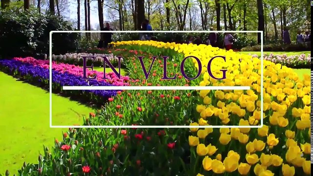 VLOG ЛЕТНИЕ КАНИКУЛЫ НА МОРЕ! ИЮНЬ 2018