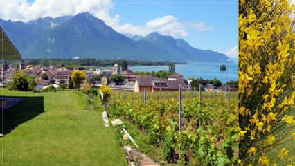 A vendre - Maison - Villeneuve (1844) - 175m²