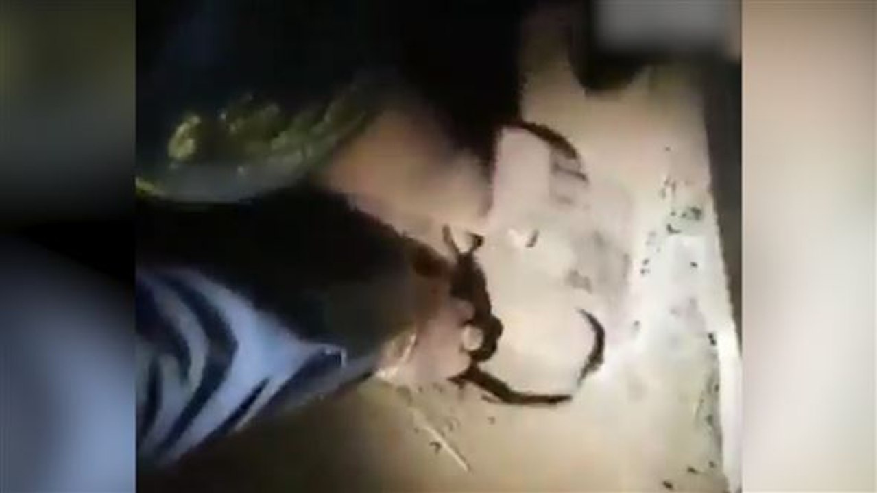 Lebendig begraben: Baby wird gerettet und überlebt