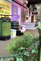 This might be the best thing I've ever seen.