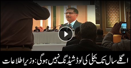 We have the ability to generate 28,000 MW electricity: Ali Zafar