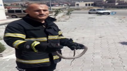 İtfaiye ekipleri ikinci kattan yılan çıkardı