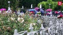 Sanctuaire de Lourdes : la crue menace