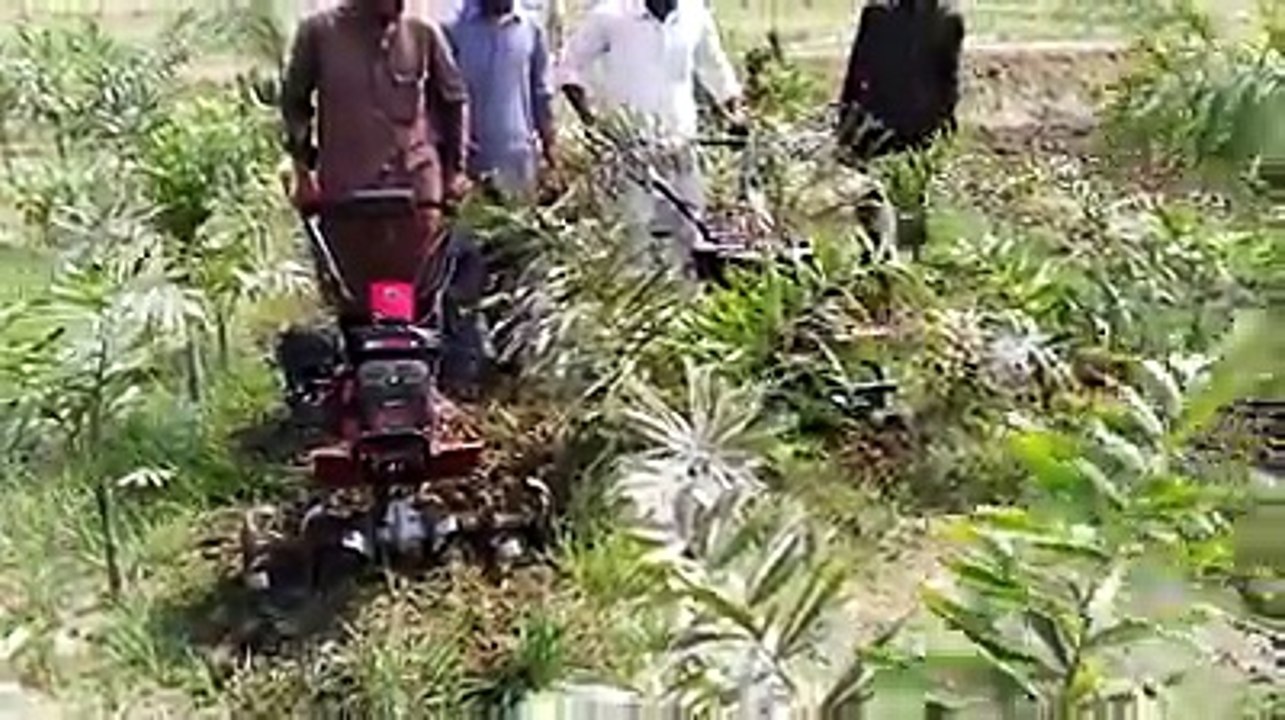 گوڈی کرنے والی مشین منی روٹا وا ٹر