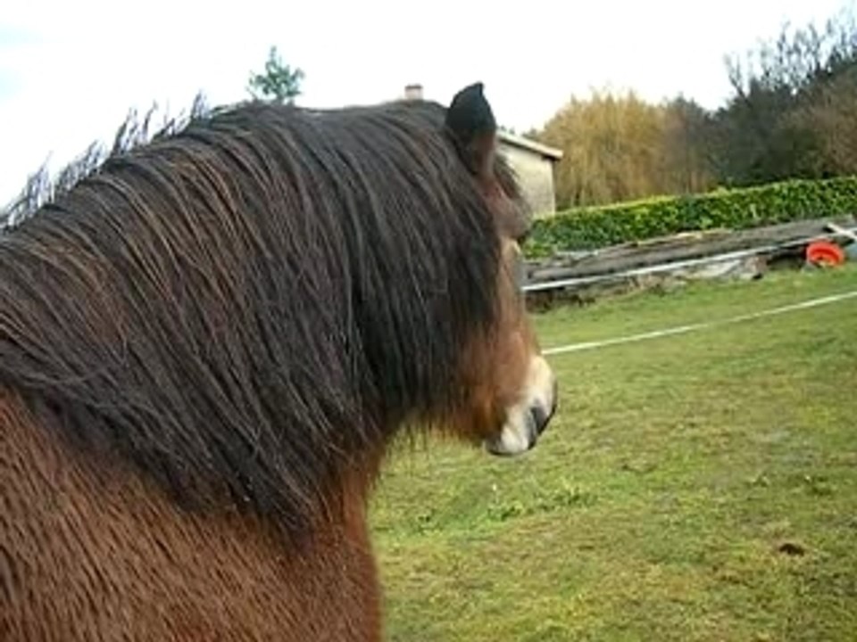 Deplacement des hancge de looping