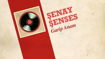 Şenay Şenses - Garip Anam (45'lik)