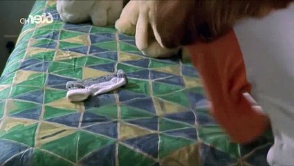 Buffy contre les vampires saison 2 episode 7