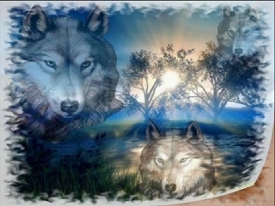 Montage loups_0001