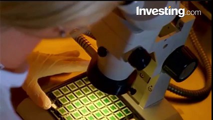 Morgan Stanley Cools On Red-Hot Micron