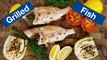 Grilled Fish (Snapper) Recipe On The Otto Wilde OFB Grill