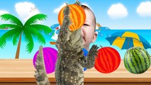 Bad baby crying - Baby learn colors with Watermelon Pool and Crocodile - Learn colors for childn