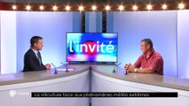 L'invité de la rédaction  - 12/06/2018 - François Chidaine, président de la Fédération des Associations Viticoles d'Indre-et-Loire