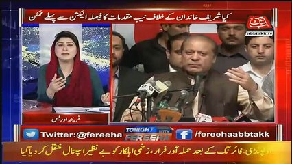 Fareeha Idrees Response On NAB's References Against The Nawaz Sharif