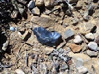 Collection  de différents objets trouvés dans la nature . مجموعة تحف طبيعية