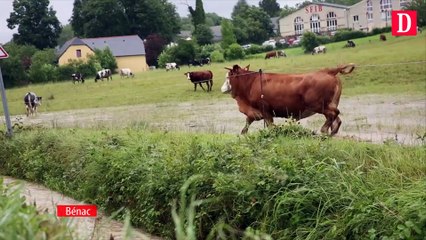 Crues Bénac, Larreule, Vic. Ca déborde