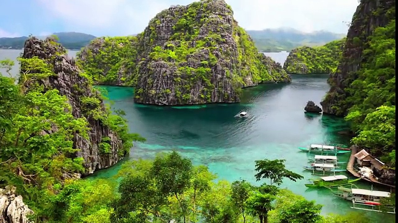 LES 10 OBJETS LES PLUS CHERS TROUVÉS DANS UNE BENNE À ORDURES _ Lama Faché