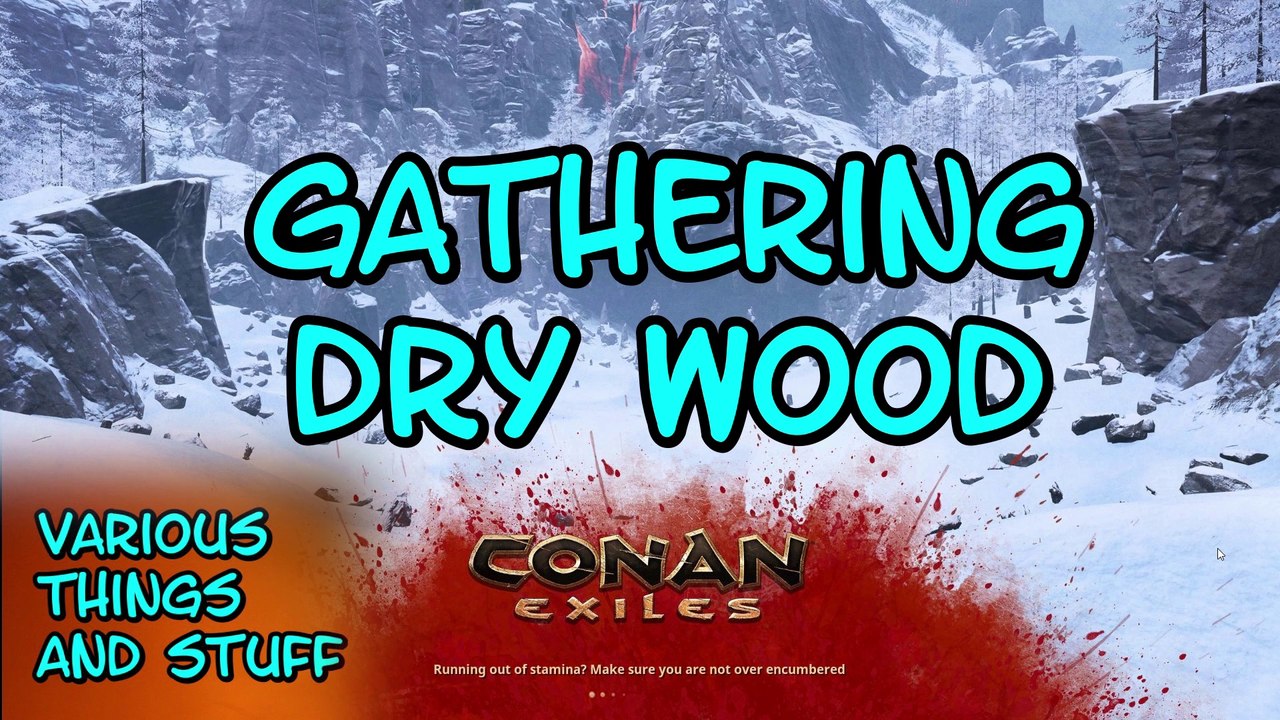 Conan Exiles Gathering Dry Wood video Dailymotion