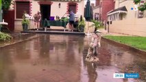 Intempéries : les précipitations ont battu des records