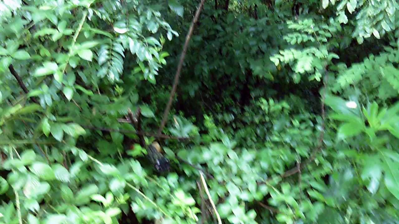 15| Catholic Hobo Pilgrimage,  In Memphis on the street, plus Sacraments