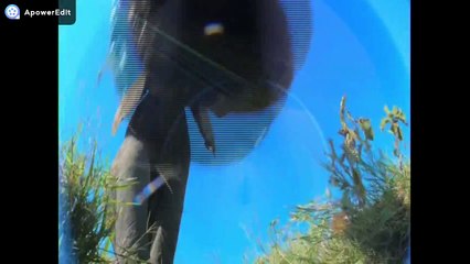 ESPIÕES DA NATUREZA - EP. 1 : Amor