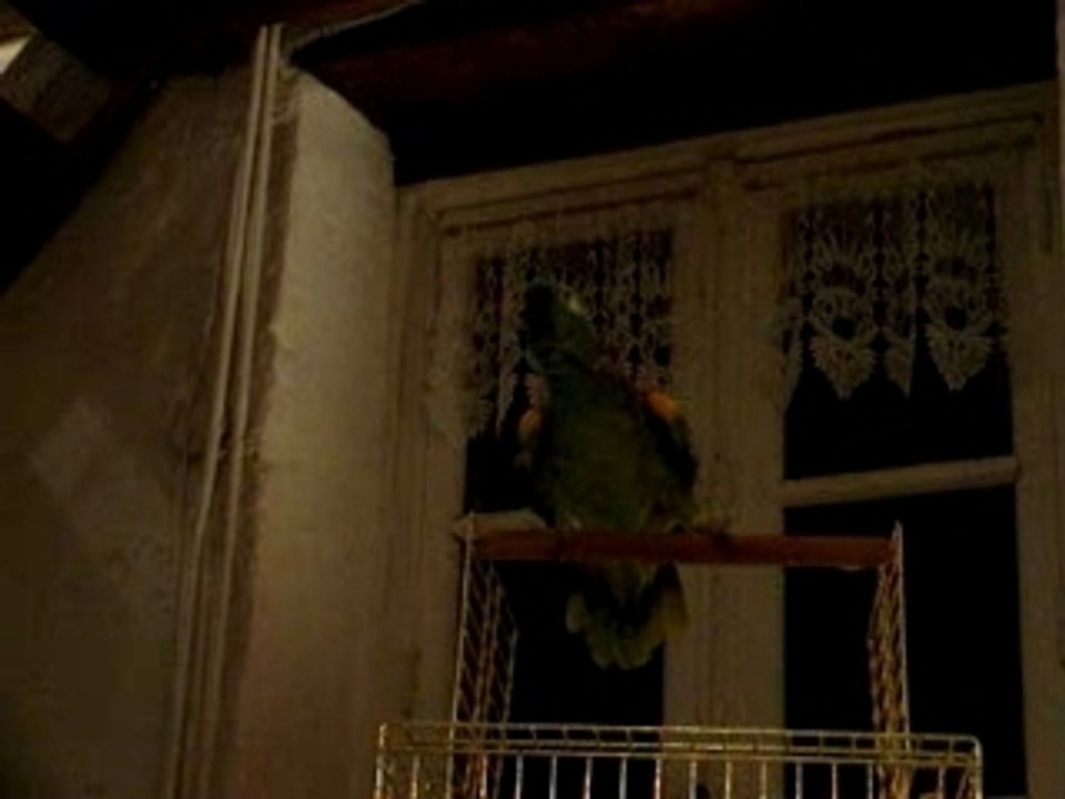 Coca qui fait le foufou