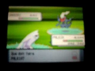 Darkrai France pour pokebip