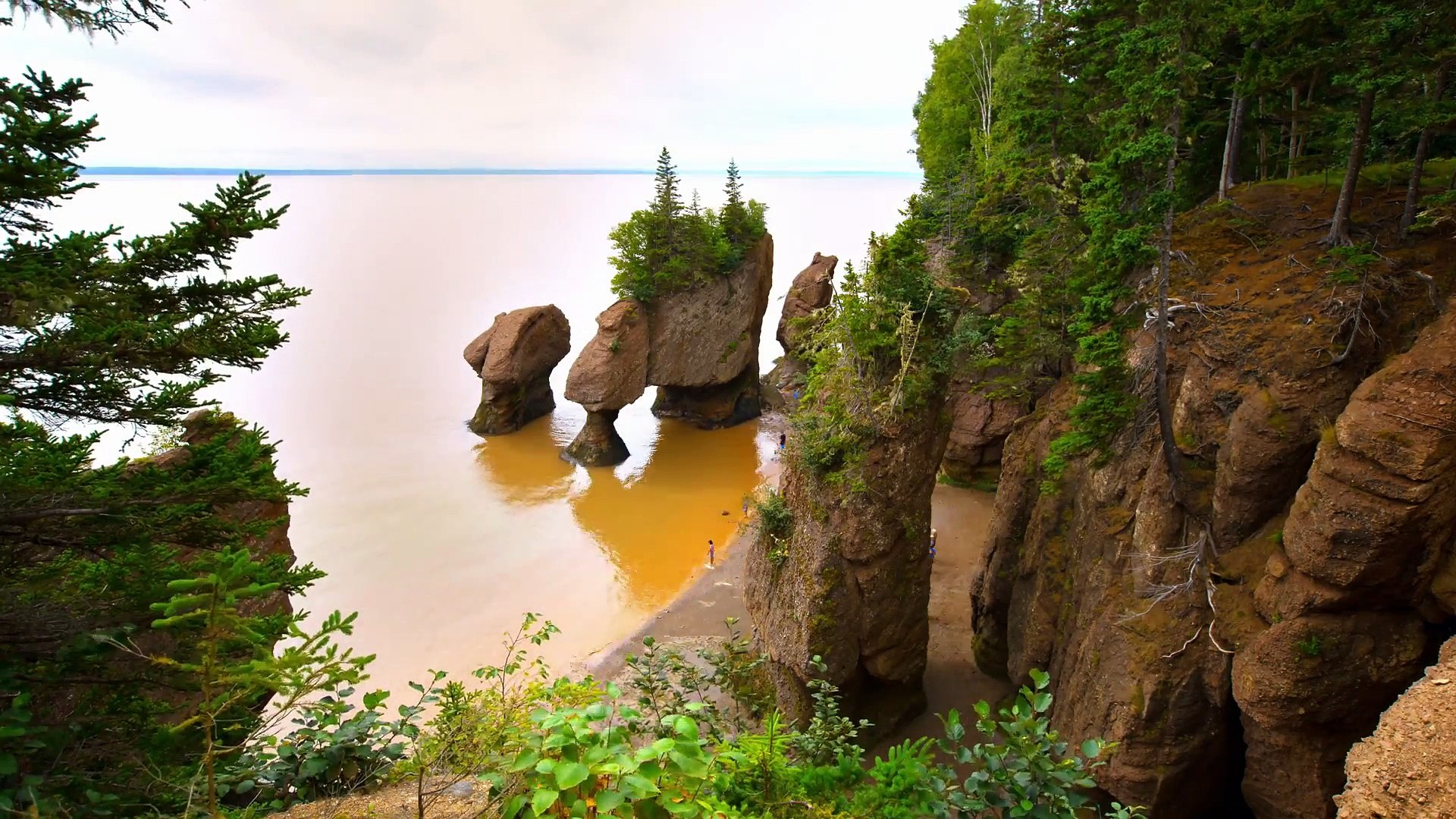 A Fun-Day at the Bay of Fundy: Hopewell Rocks! – Big Beaver Diaries