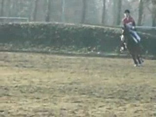 Une copine sur le CSO d'un complet