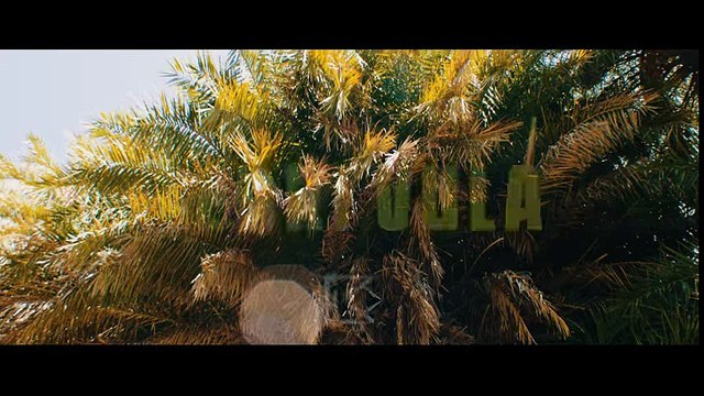 Ledri Vula ft. Lyrical Son - Princess Diana